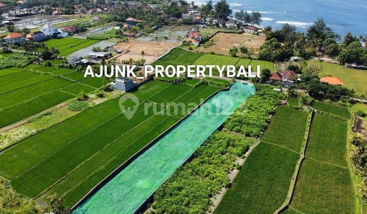 Tanah Lingkungan Asri & Tenang,Hanya 250 Meter ke Pantai, Gianyar