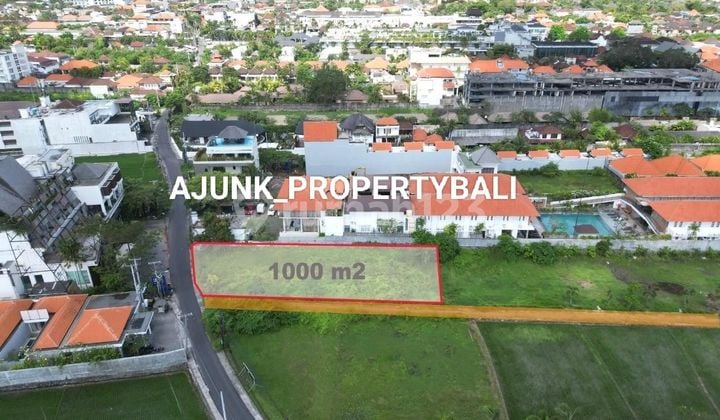 Premium & Strategic Land on the Edge of Cendrawasih Main Road, Petitenget