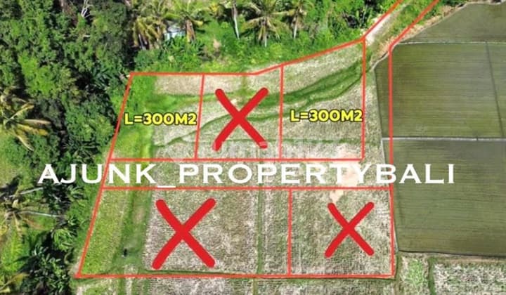Tanah Kavling Lokasi Strategis di Kaba Kaba Tabanan