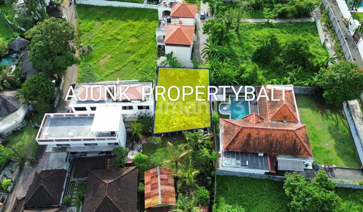 Tanah Luasan Kecil & Langka Lokasi Premium, Kayu Tulang Canggu