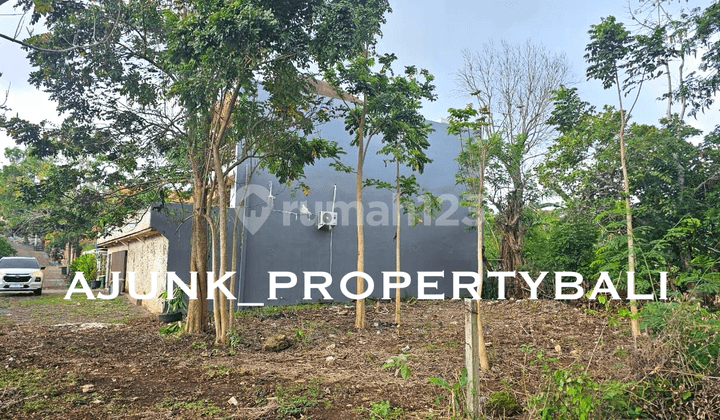 Tanah Kavling Lokasi Premium Lingkungan Vila, Labuan Sait Pecatu