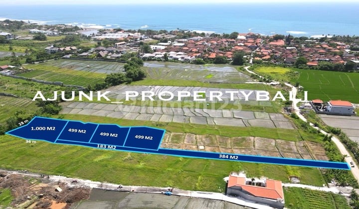 Plot of Land Surrounded by Rice Fields, 8 Minutes Walk to Seseh Beach