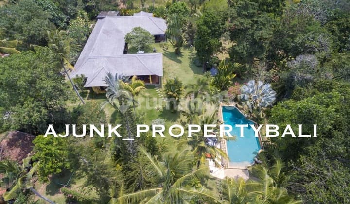 Vila Style Etnic Tropis Dgn Garden & Tanah Luas Di Cepaka Tabanan