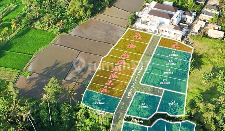 Tanah Kavling View Sawah Lingkungan Vila Lokasi di Ubud