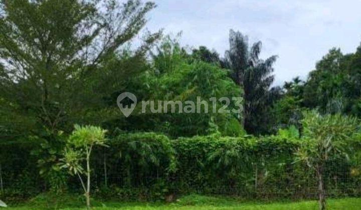 Kavling di Anggrek Loka, BSD, bisa Buat Kos Kosan