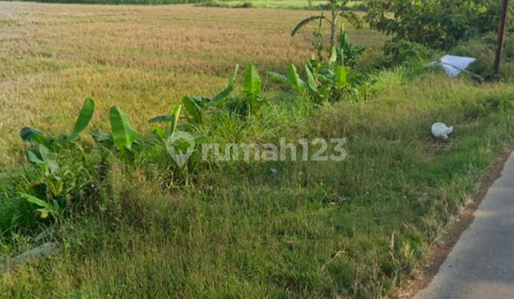 For Sale Fast Industrial / Warehouse Land in Cirebon