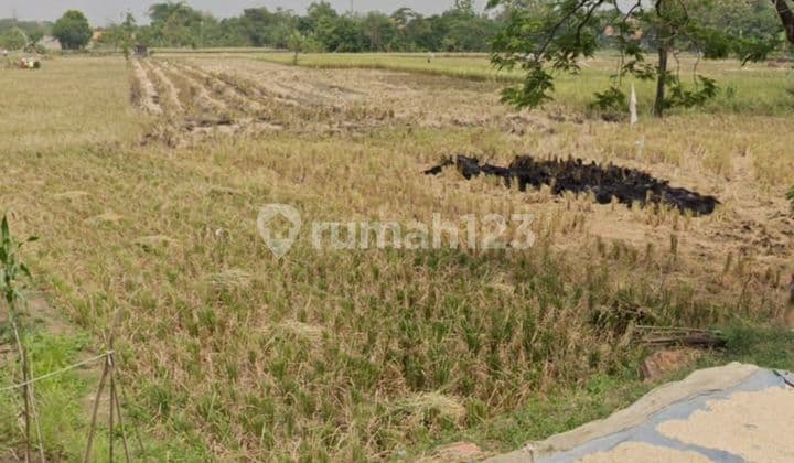 Tanah Industri Siap Bangun Dekat Bandara Di Majalengka