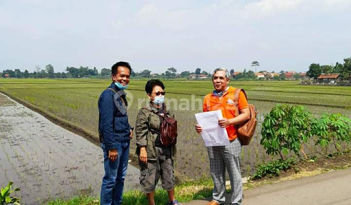 Tanah Luas 6,8 Ha Satu Kepemilikan