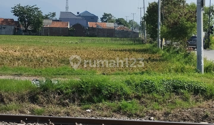 Tanah Luas Strategis di Rancaekek untuk Investasi & Bisnis