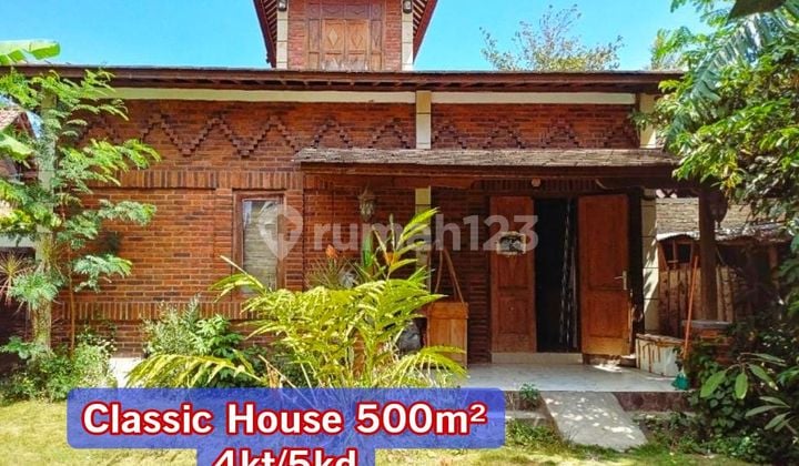 Rumah Klasik Jogja Bantul Bata Expos Luas 500 M²