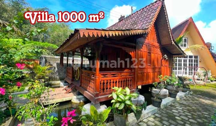 Villa Klasik Dijual Tanah Luas Cocok Untuk Menyepi