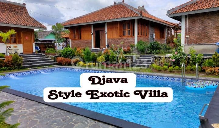 Classic Joglo House Superior Wooden Swimming Pool