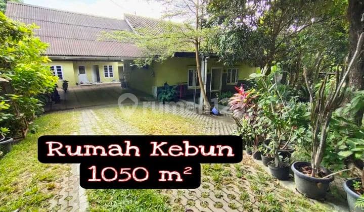 Rumah Dengan Luas 1000 Dalam Ring Road Selatan