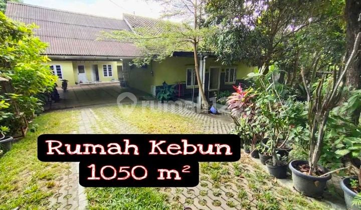 Rumah Dengan Luas 1000 Dalam Ring Road Selatan