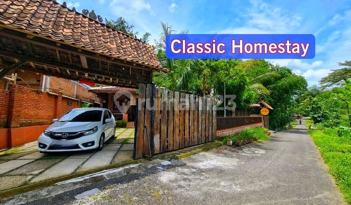 Joglo House with Rice Field View in Godean Sleman