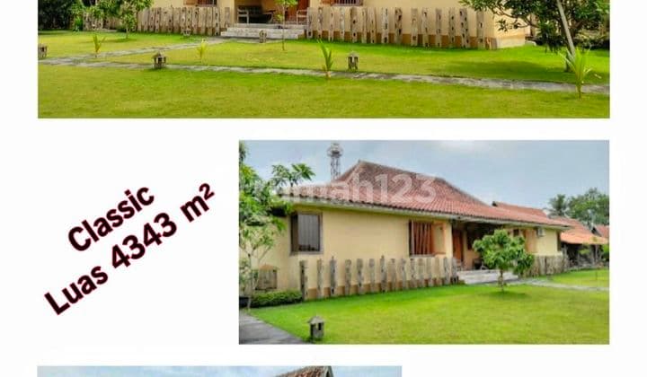 Villa Jogja Eksotis Nuansa Ethnik Area Sejuk Kaliurang