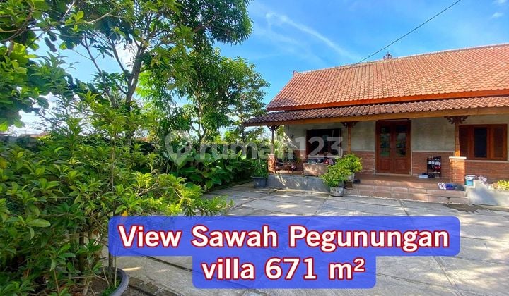 Mountain View Villa Near Rice Fields, 671 M² Land Area
