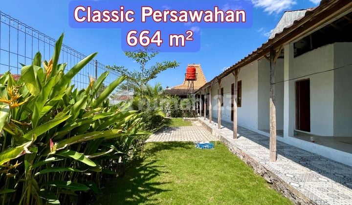 Rumah Klasik Jawa Limasan Sleman Tanah Luas