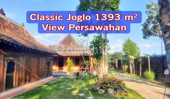 Rumah Joglo Tepi Persawahan Luas Hadap Timur