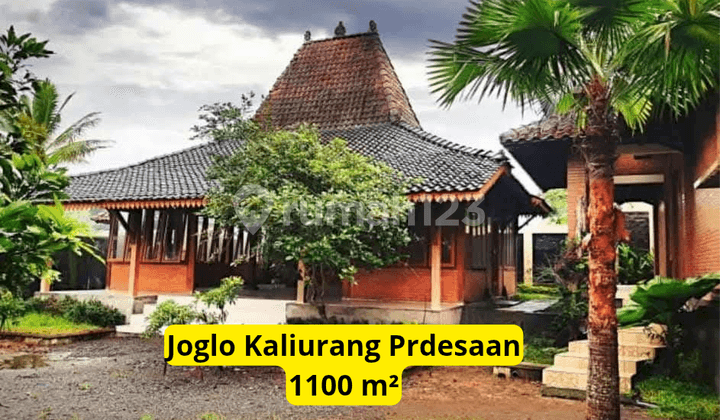 Joglo House with Spacious Land in Rural Area Near Kaliurang Road