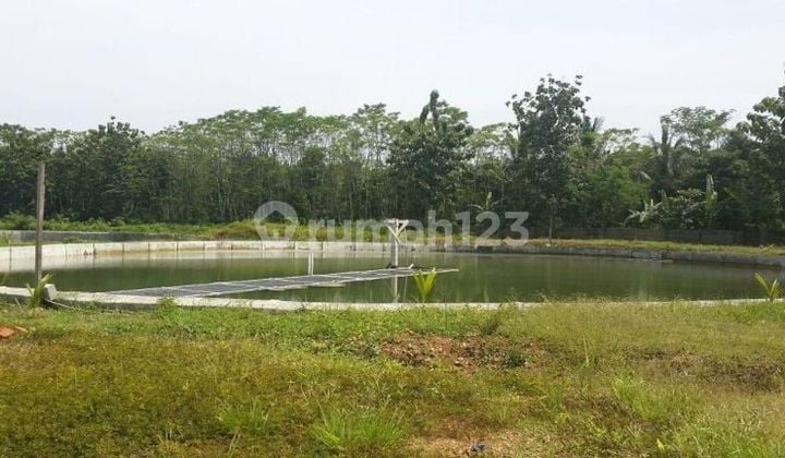 Tanah kavling tambak Carita Anyer Tangerang Banten