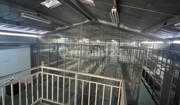 Disewakan Gudang Elang Laut Pik Pantai Indah Kapuk Jakarta Utara