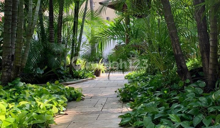 Serene House with Swimming Pool in Bintaro