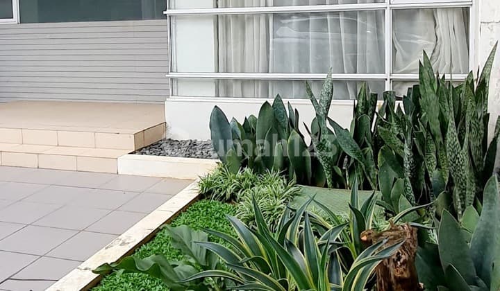 New Cluster in Bintaro Minimalist Concept