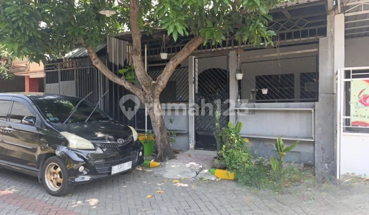 Rumah siap huni daerah wisma lidah kulon KT Rumah siap huni daerah wisma lidah kulon KT