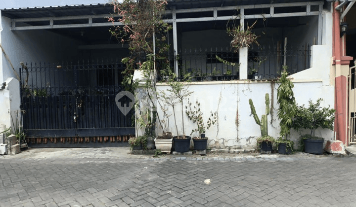DIJUAL CEPAT RUMAH DI PUCANG ANOM KT DIJUAL CEPAT RUMAH DI PUCANG ANOM KT
