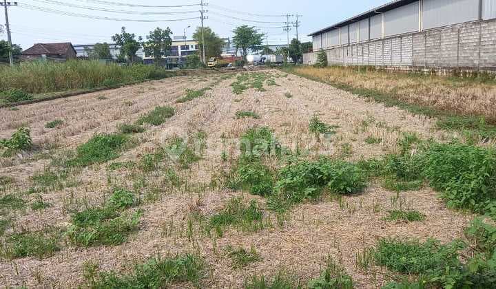 Jual Tanah di Raya Krembung, Ngoro Mojokerto (Mh)