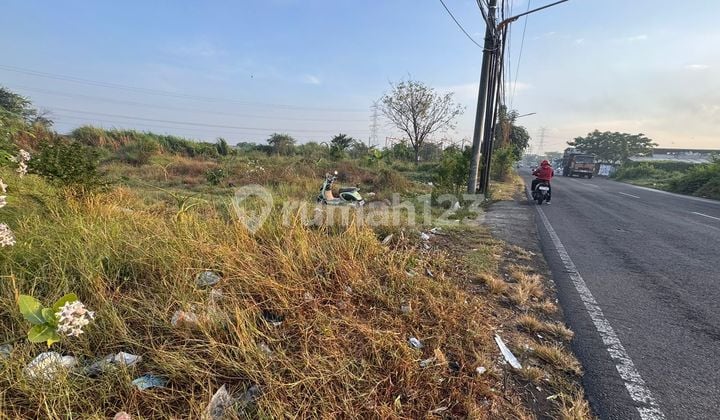 Dijual Tanah di Benowo Mh
