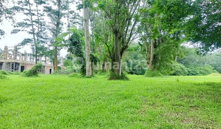 Jarang Ada Kavling Bukit Golf Jual Cepat Bsd (Sg )