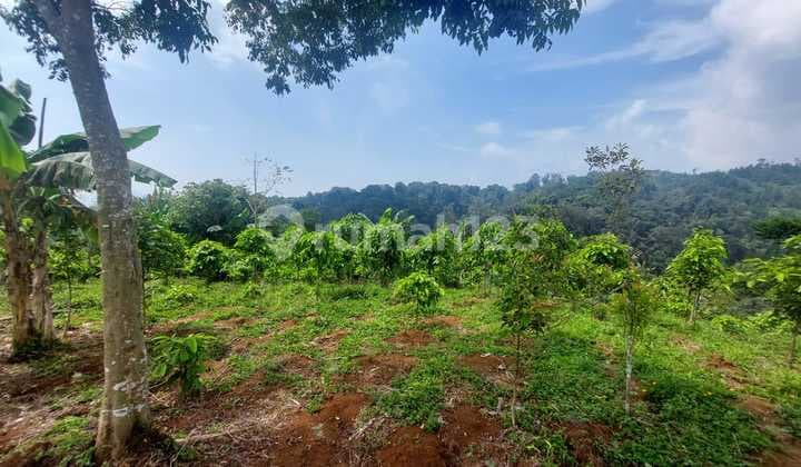 A 3-hectare Land in Cianjur Regency for Sale, Concrete Road Access