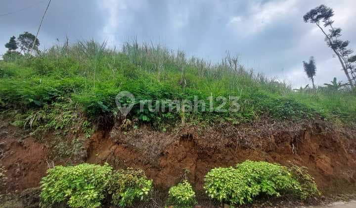 Land for Sale in South Cianjur, Concrete Road