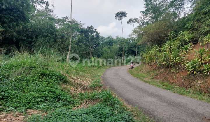 Tanah Dijual di Desa Sukamekar Sukanagara Cianjur Jawa Barat