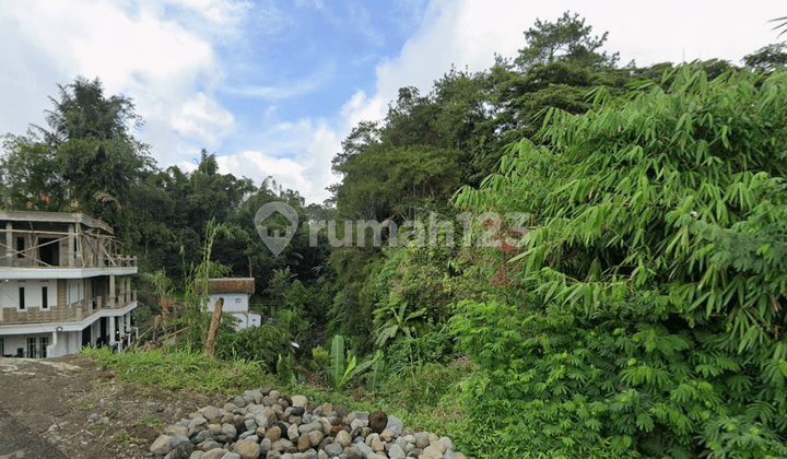 Lelang Tanah Luas 8.754 M² di Cipendawa - Cocok Villa & Resort - Nego!