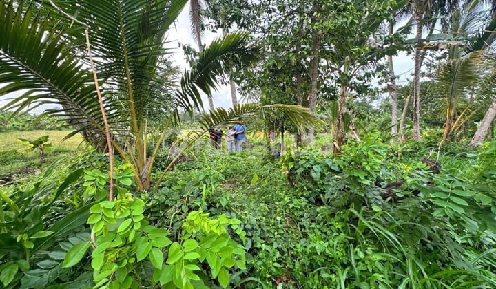 Dijual Tanah Anyer Pandeglang Dekat Hotel Lippo , Archipelago Tanah di Anyer, Pandeglang SHM - Sertifikat Hak Milik 43800 Squaremeter