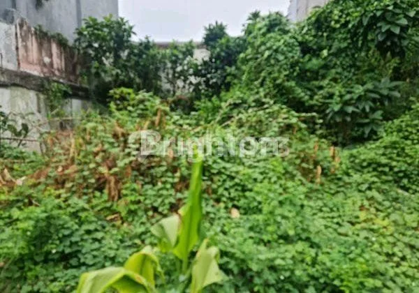 *Dijual Tanah Ijin Komersil, bisa untuk Kantor dan Usaha di Pinggir Jalan Utama Raya Benhill (Bendungan Hilir )..*Jual Tanahjl. Bendungan Hilir - Jakarta Pusat(Kode Rmrg 2897) *Dijual Tanah Ijin Komersil, bisa untuk Kantor dan Usaha di Pinggir Jalan Utama Raya Benhill (Bendungan Hilir )..*Jual Tanahjl. Bendungan Hilir - Jakarta Pusat(Kode Rmrg 2897)