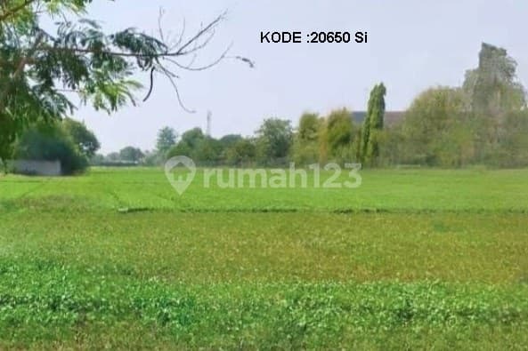 Plot for Sale in Cilincing, Area 474 Meters, Code: 20650 Si