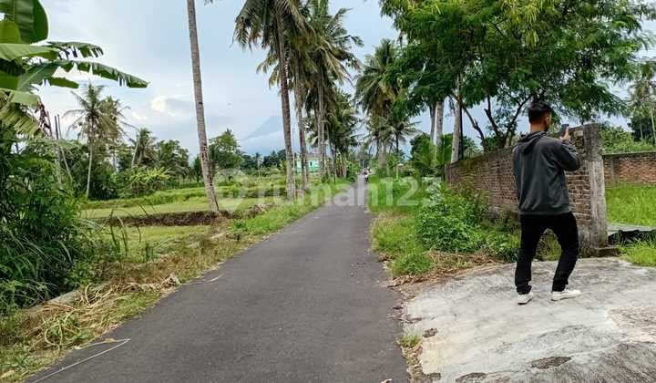 Tanah Investasi Cocok untuk Bisnis Dekat Kampus Uii