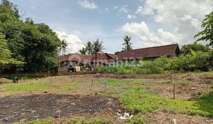 Jarang Ada! Cluster Murah Scandinavian Sleman Harga Nego