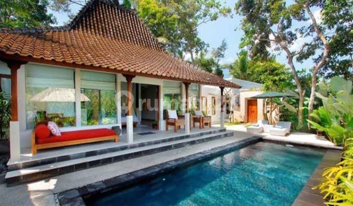 Hotel Villa Resort Sejuk Tegallalang Bali.JARANG ADA TERBAIK PULUNG