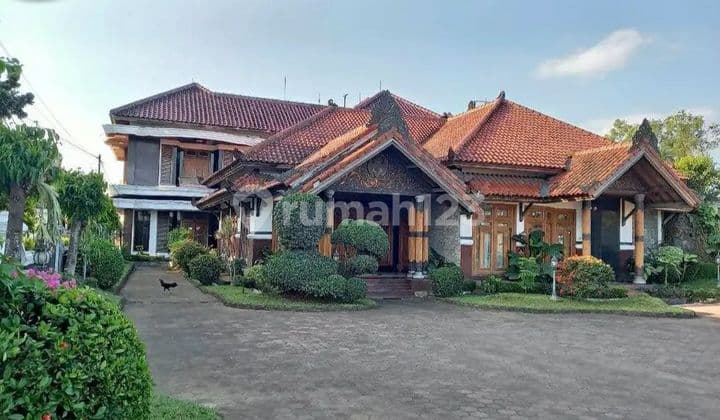 Gedung Pendopo pertemuan Terbaik Terluas Purworejo Jateng.JARANG ADA BU