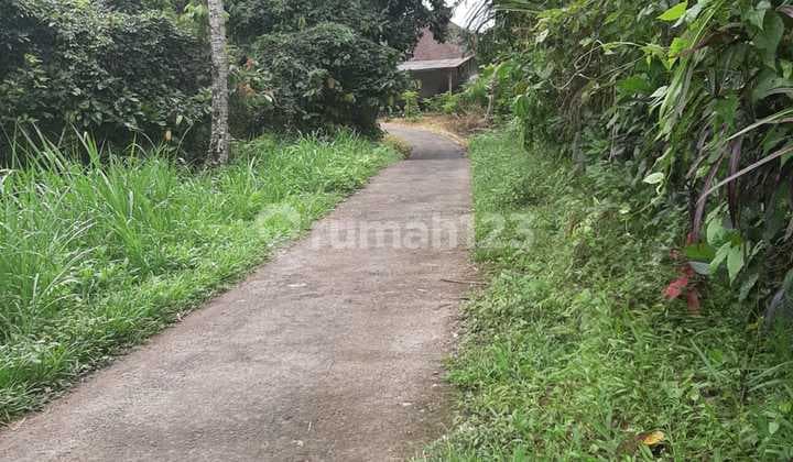 Bisa Ambil 10 Are! Lahan Subur Siap Panen di Tabanan - Cocok untuk Villa & Kebun