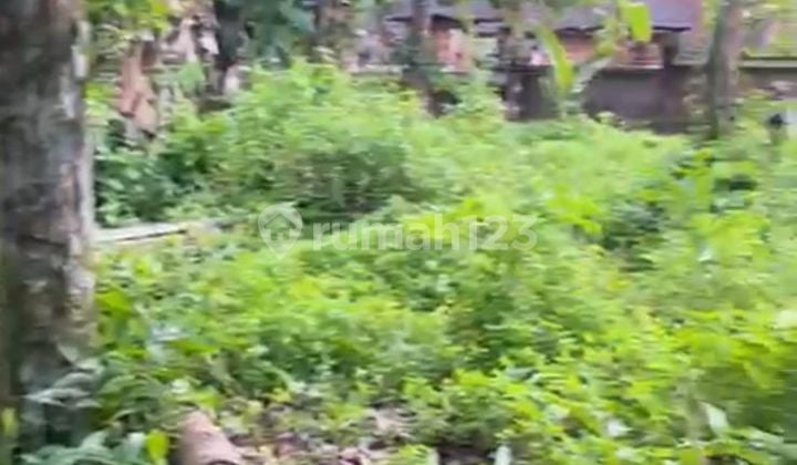 Prime 7 Land -Are Leasehold Opportunity In Pejeng Close To Ubud