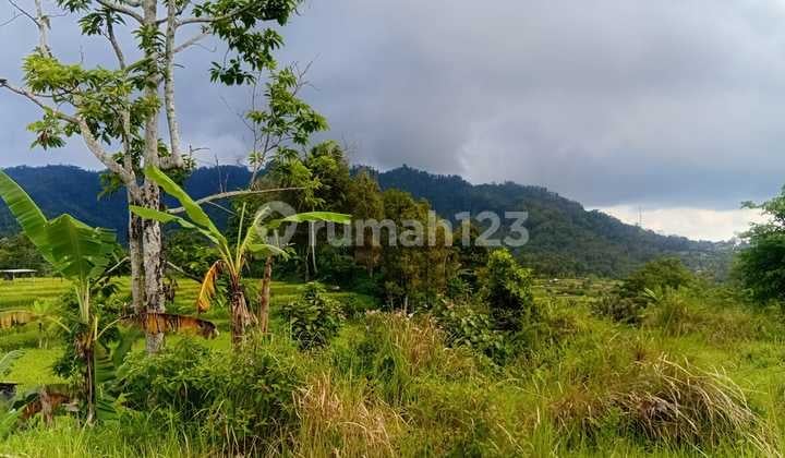 Jual Tanah di Sidemen Karangasem dengan Pemandangan Gunung Agung Nan Megah_mtx