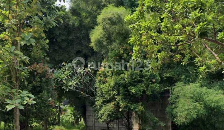 Kuldesak Plot Serene Location in the Heart of BSD City