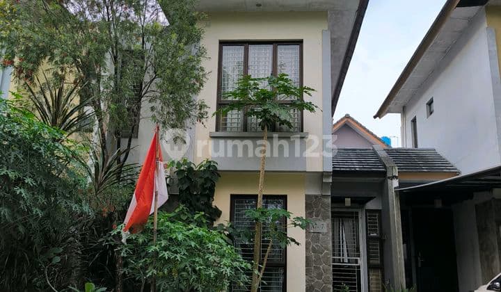 Bsd Avani Nittaya Lebar 7 Bagus Harga Murah