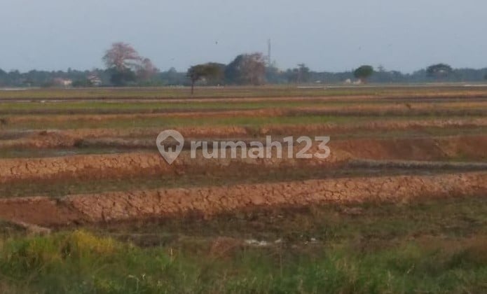 Kavling Lokasi di Daerah Kerawang, Kode 0006 Ton Kavling Lokasi di Daerah Kerawang, Kode 0006 Ton